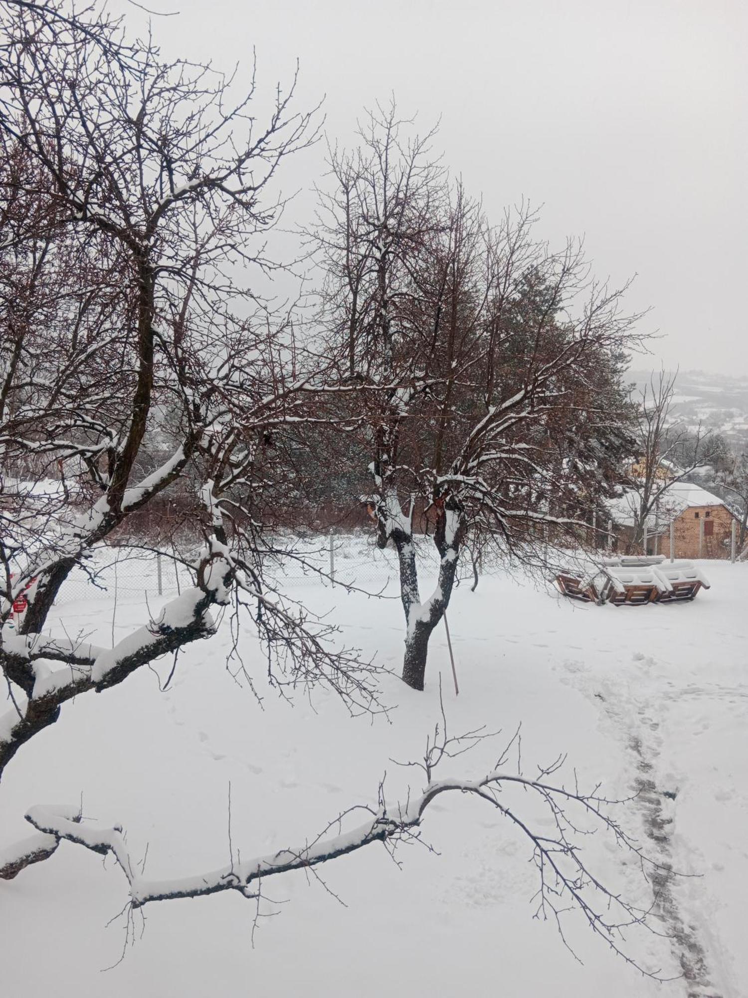 Apartmani Ostojic Vrdnik Exterior photo